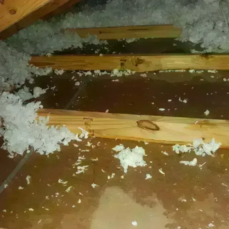 Attic Water Damage in San Joaquin County, CA